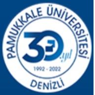 جامعة باموكالي